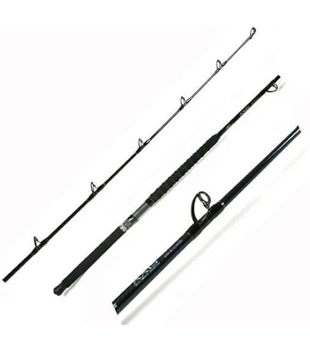 Amazon.com: Phenix Rods AXIS Casting / 7'2